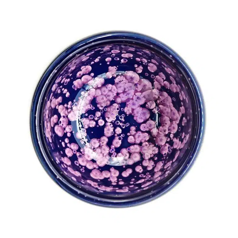 Blossom Jian Zhan Tenmoku Tea Cup