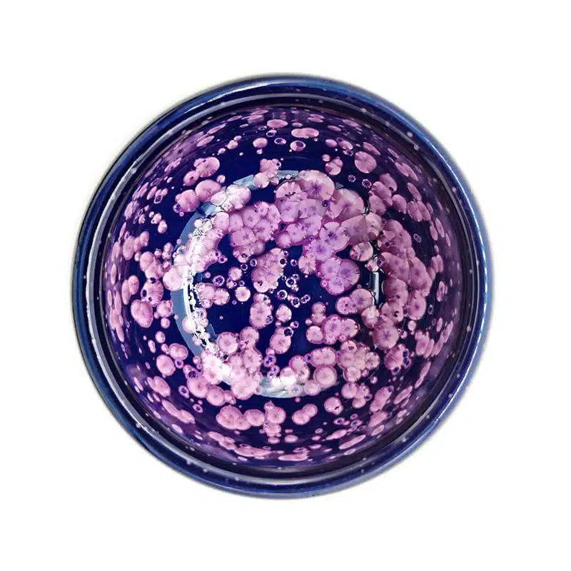 Blossom Jian Zhan Tenmoku Tea Cup