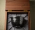 Tenmoku tea cup in wooden gift presentation box with oil spot glaze